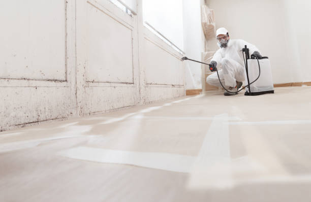 24/7 Emergency Mold Inspection experts in Warren, IL